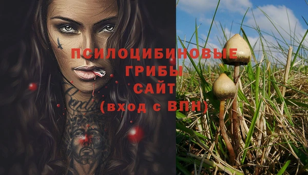 альфа пвп Богданович