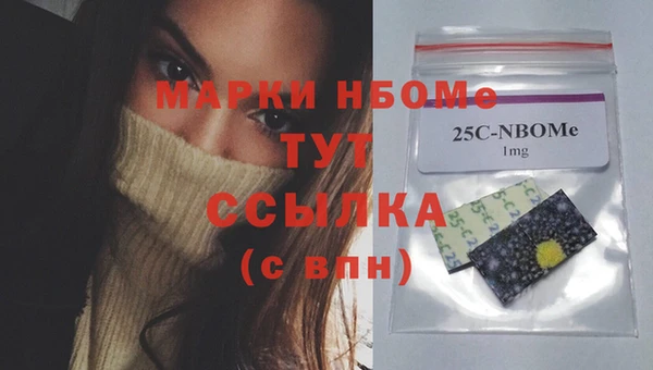 прущие грибы Богородицк