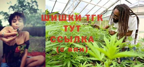 молекула духа Тихвин