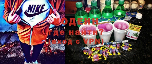 прущие грибы Бронницы