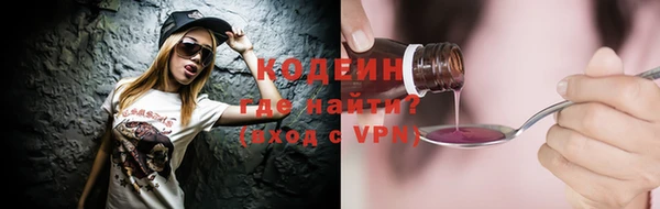 твердый Бородино