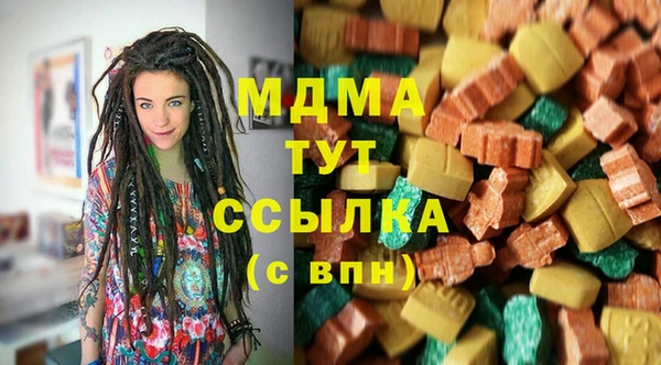 прущие грибы Бронницы