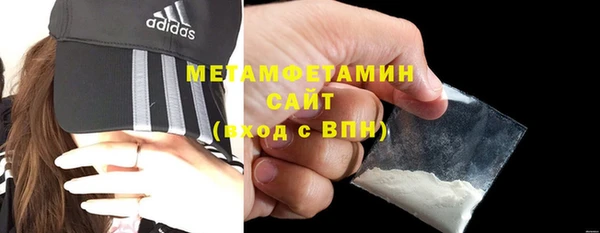 прущие грибы Бронницы