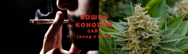 гидра Богородск