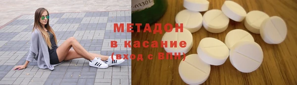 прущие грибы Бронницы
