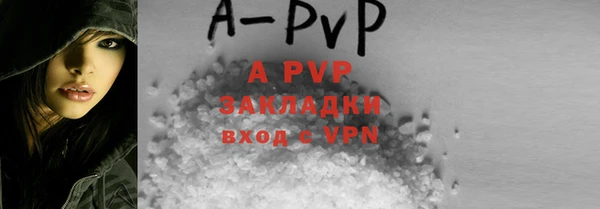 твердый Бородино