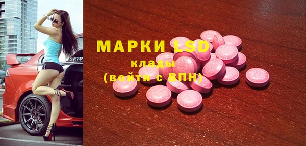 твердый Бородино