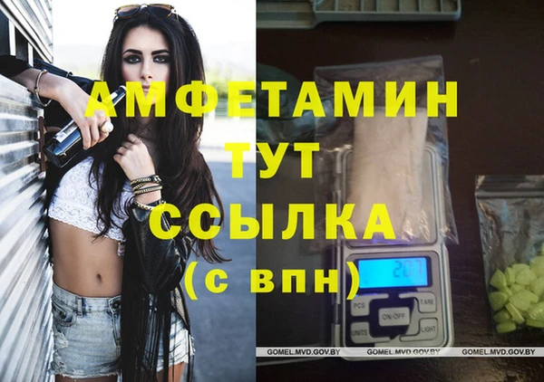 прущие грибы Бронницы