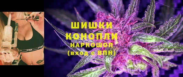 твердый Бородино