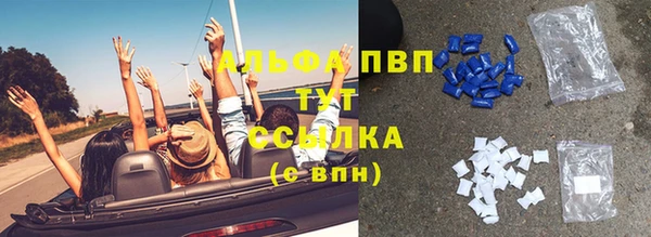 твердый Бородино