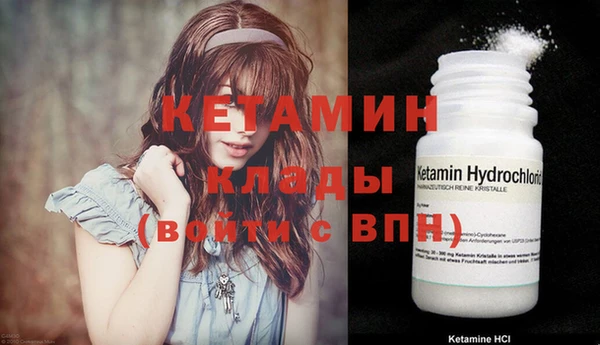 прущие грибы Богородицк